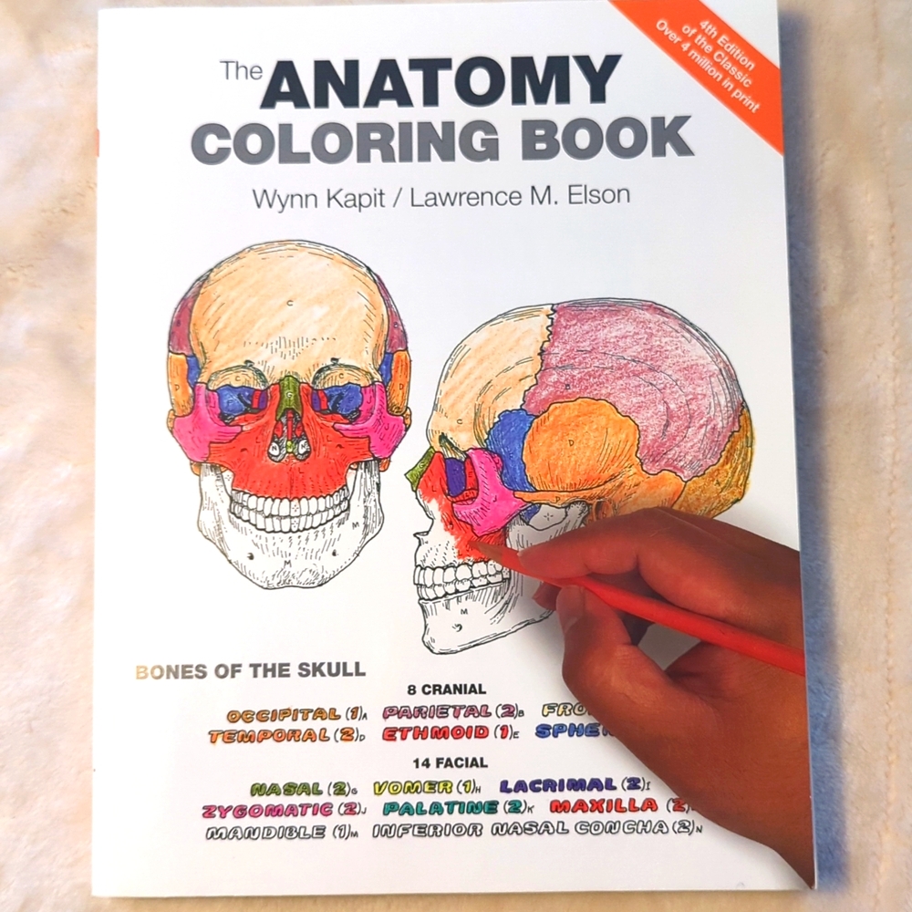 Anatomy Colouring Book NWT